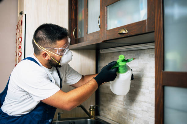 Best Cockroach Control Services  in Johns Creek, GA
