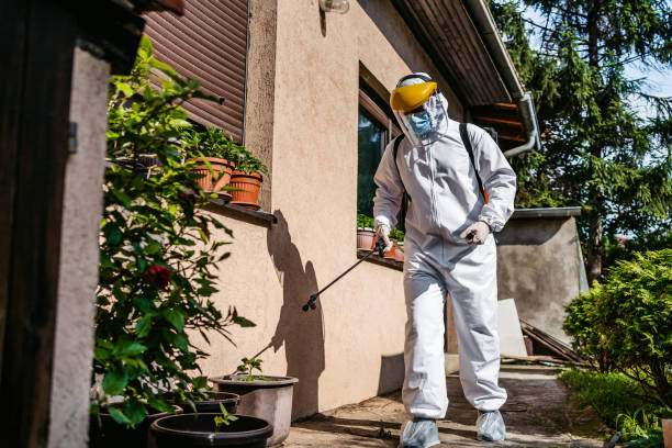 Best Termite Control Services  in Johns Creek, GA