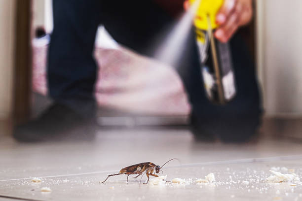 Best Pest Prevention Services  in Johns Creek, GA