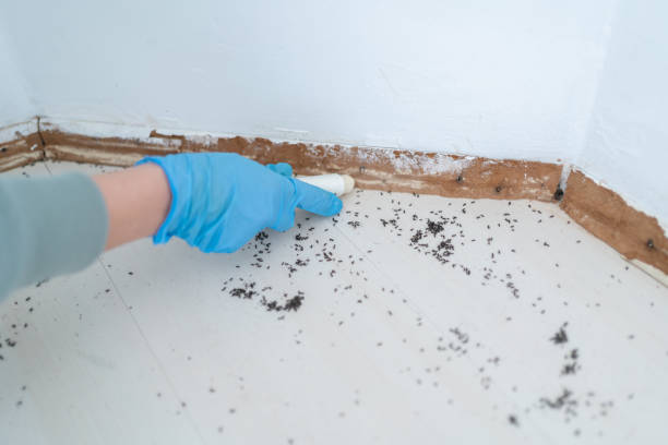 Best Rodent Control Near Me  in Johns Creek, GA